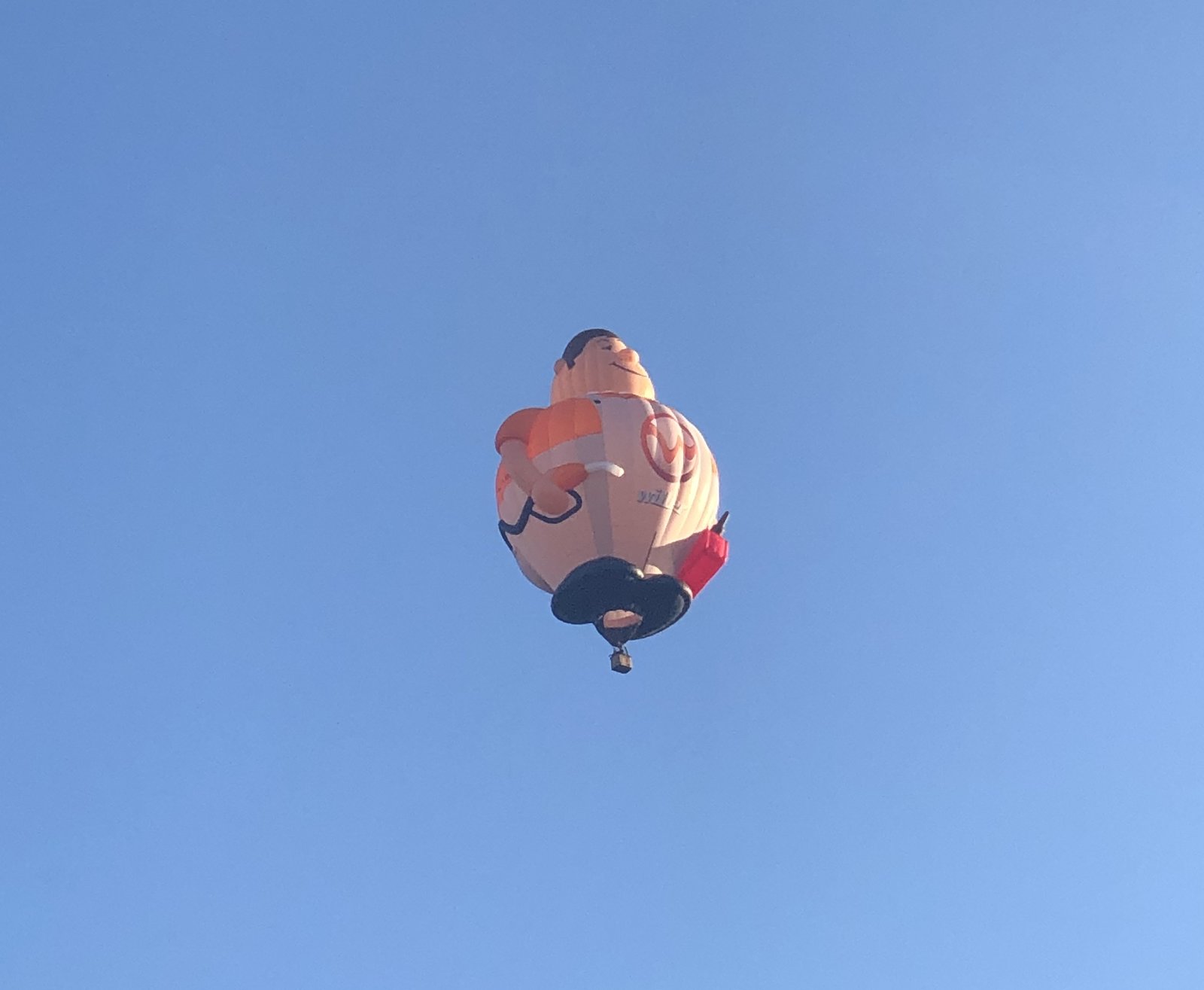 A85353A1-9CDE-4826-ACB1-195DA265D179.jpeg