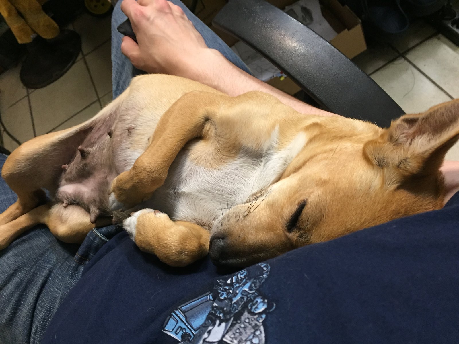 AA080071-1518-4BFE-9668-9FE7B812348A.jpeg