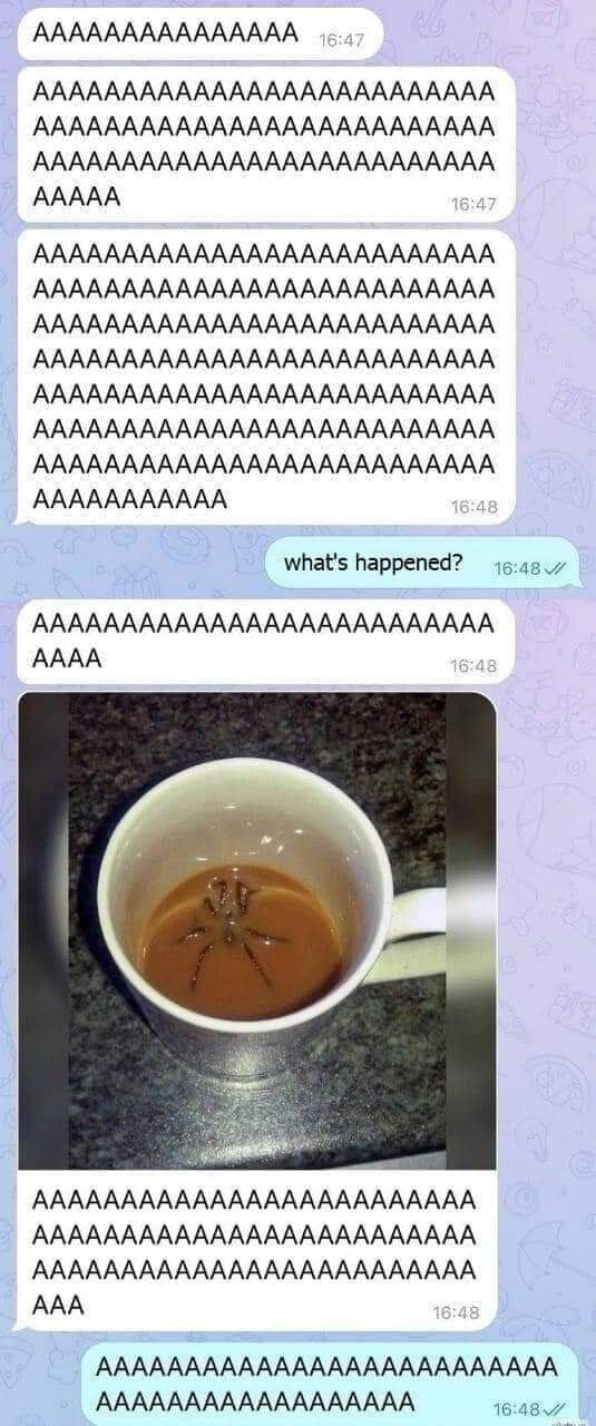 aA0RXrE_700b.jpg