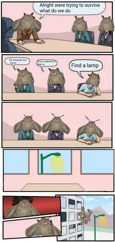 aA3BdYZ_460s.jpg