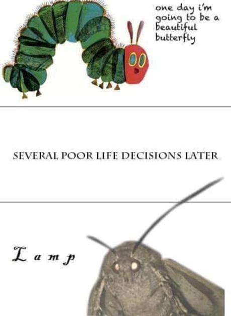 abMjEjv_460s.jpg