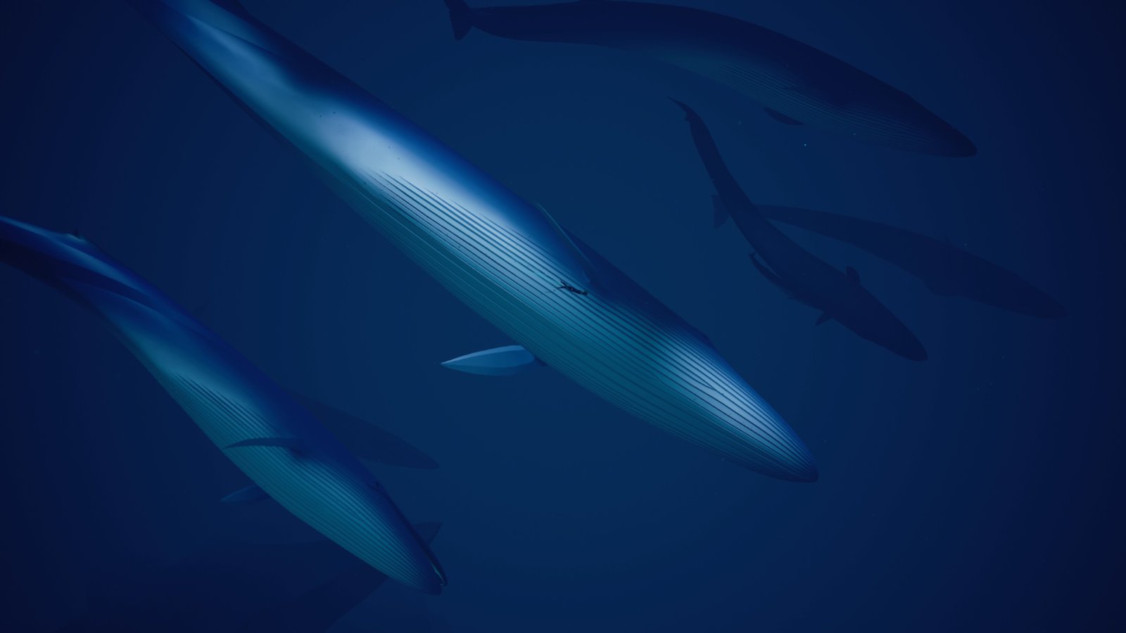 ABZU_20170113125353.jpg