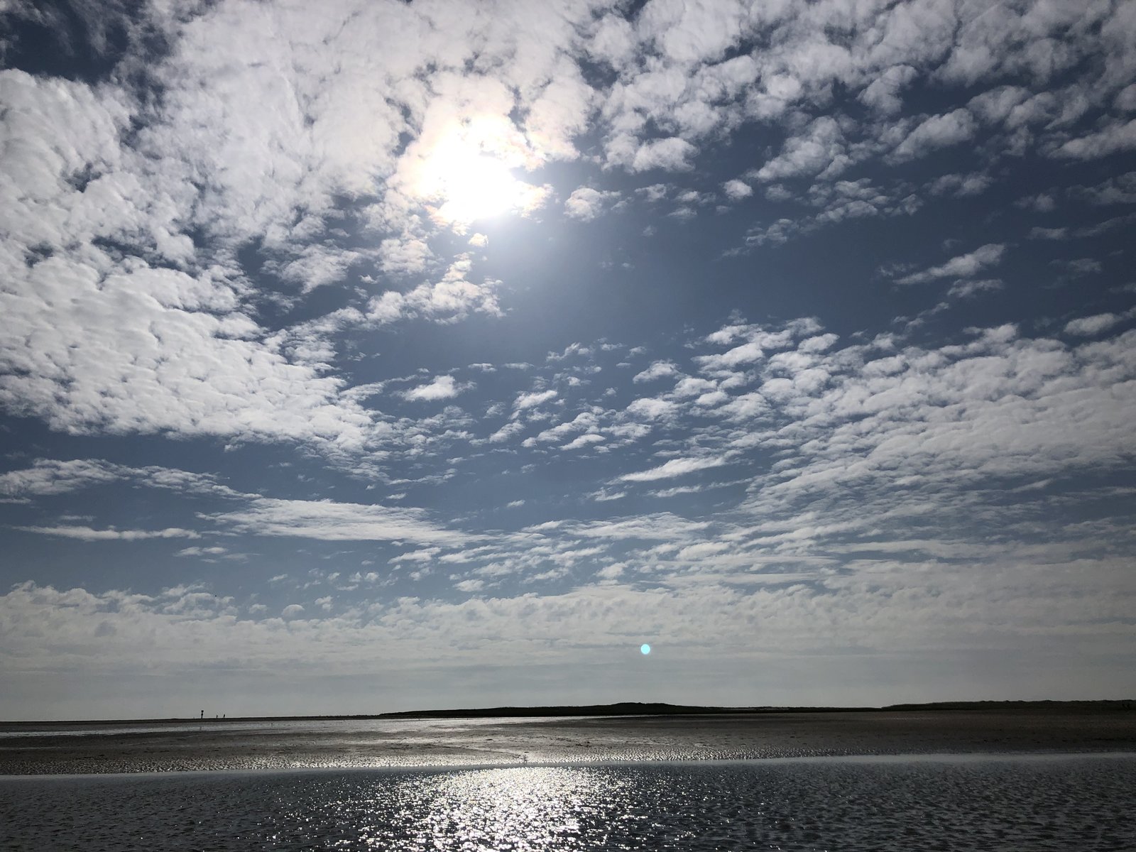 AC01E558-43BB-4172-B778-E907EABA83C9.jpeg