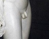 Adonis_statue~2.jpg