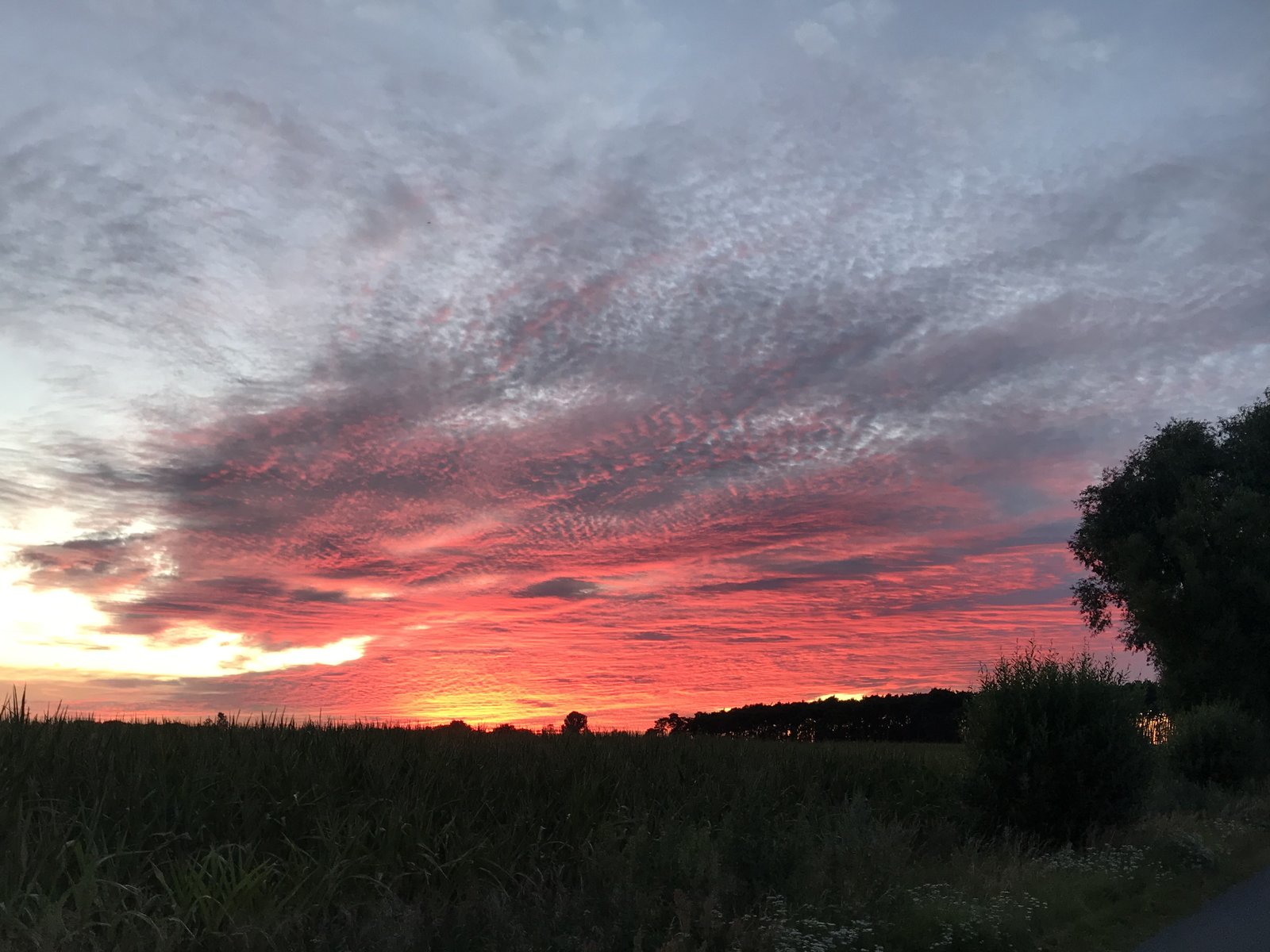 AEA38584-95EB-4802-8788-D9E58E7D7C18.jpeg