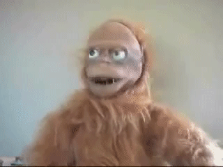 AEAEEB76-93FE-4189-A0C2-C81E6D8F6982.gif