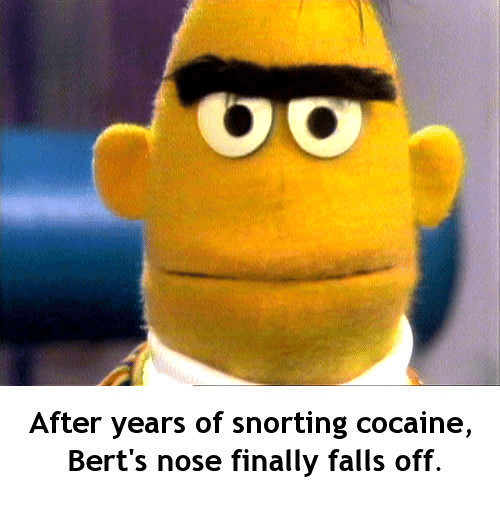 after-years-of-snorting-cocaine-berts-nose-finally-falls-off-30396187.png