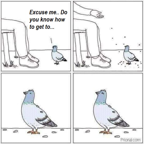 agXMwwg_460s.jpg
