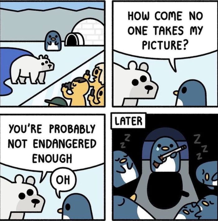 ajVqpGg_700b.jpg
