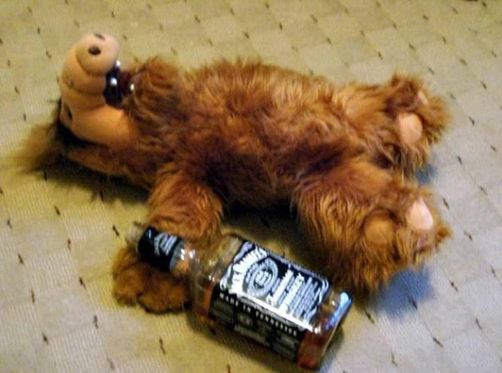 alf-ist-betrunken.jpg