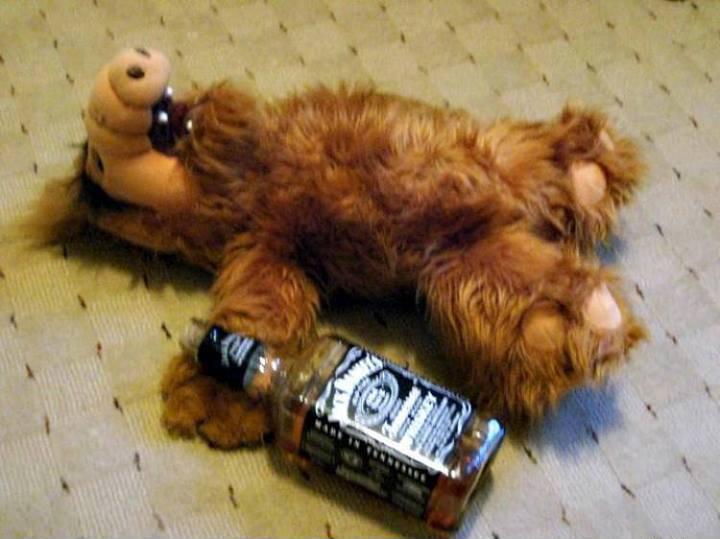 alf voll.jpg