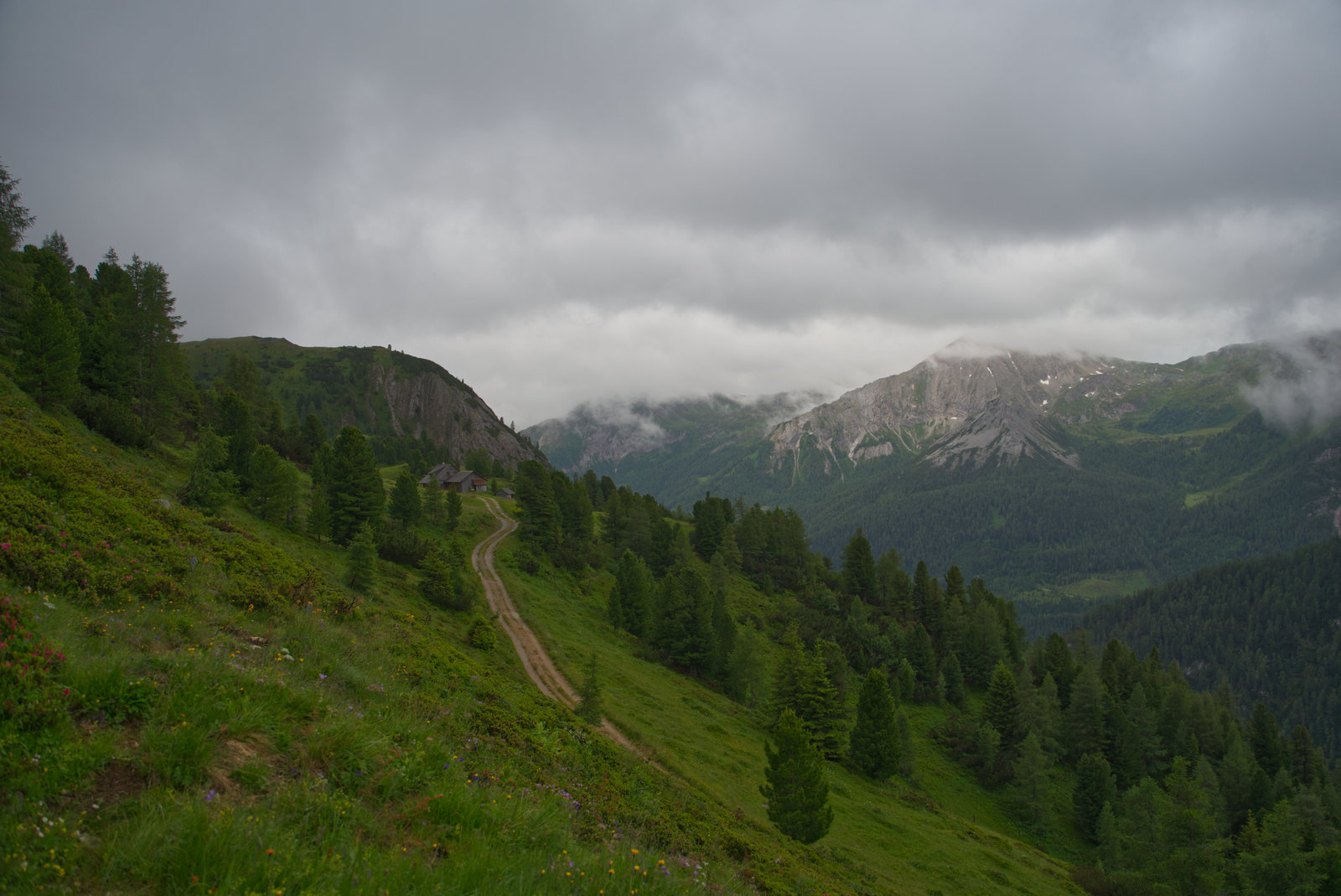 Alpen Alm2.jpg