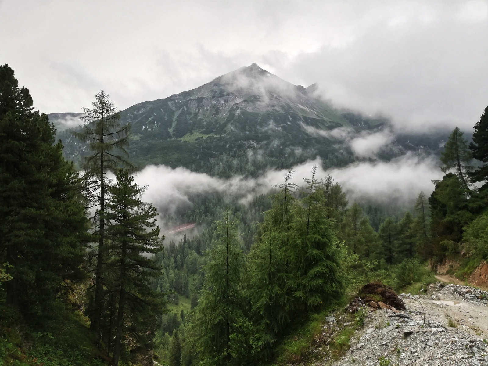 Alpen Alm4.jpg