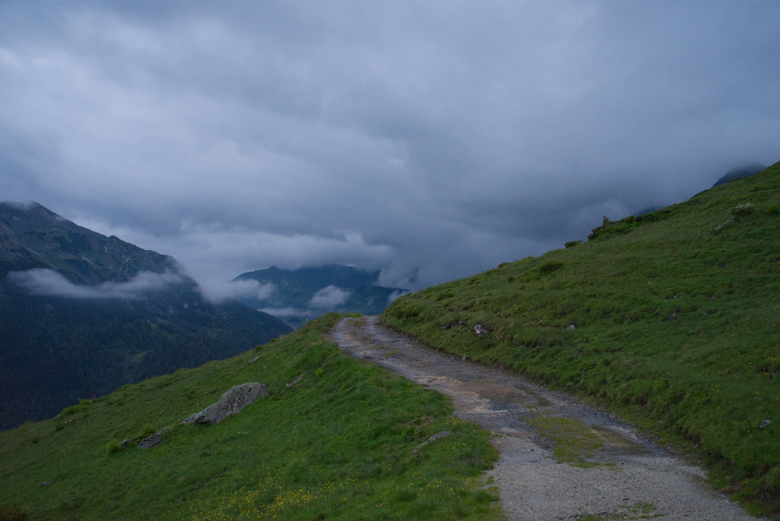 Alpen Alm5.jpg