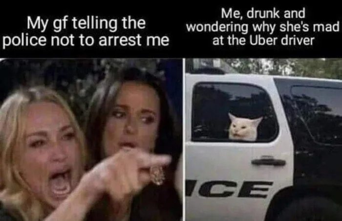 Another-cat-meme.jpg
