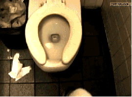 Anyone+need+the+toilet+_77feb3ef7cdf4323d693561101b61bd9.gif