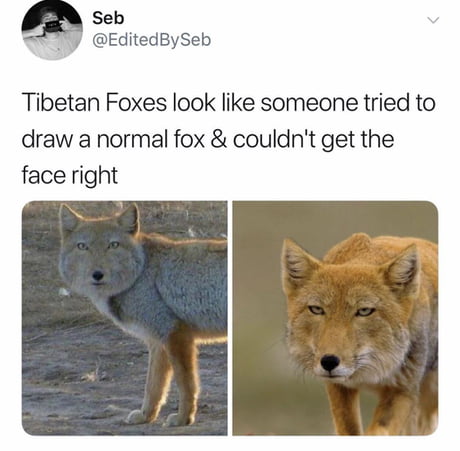 aoevEY2_460s.jpg