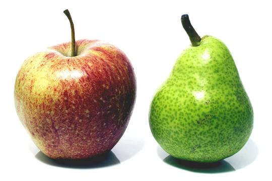 apfel-birne-DW-Wissenschaft-Hamburg.jpg