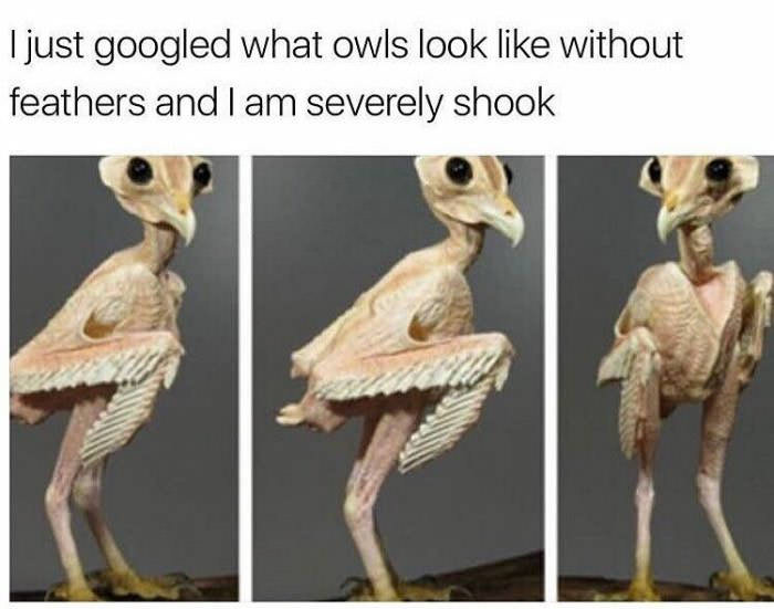 aQ9Zvqw_700b.jpg