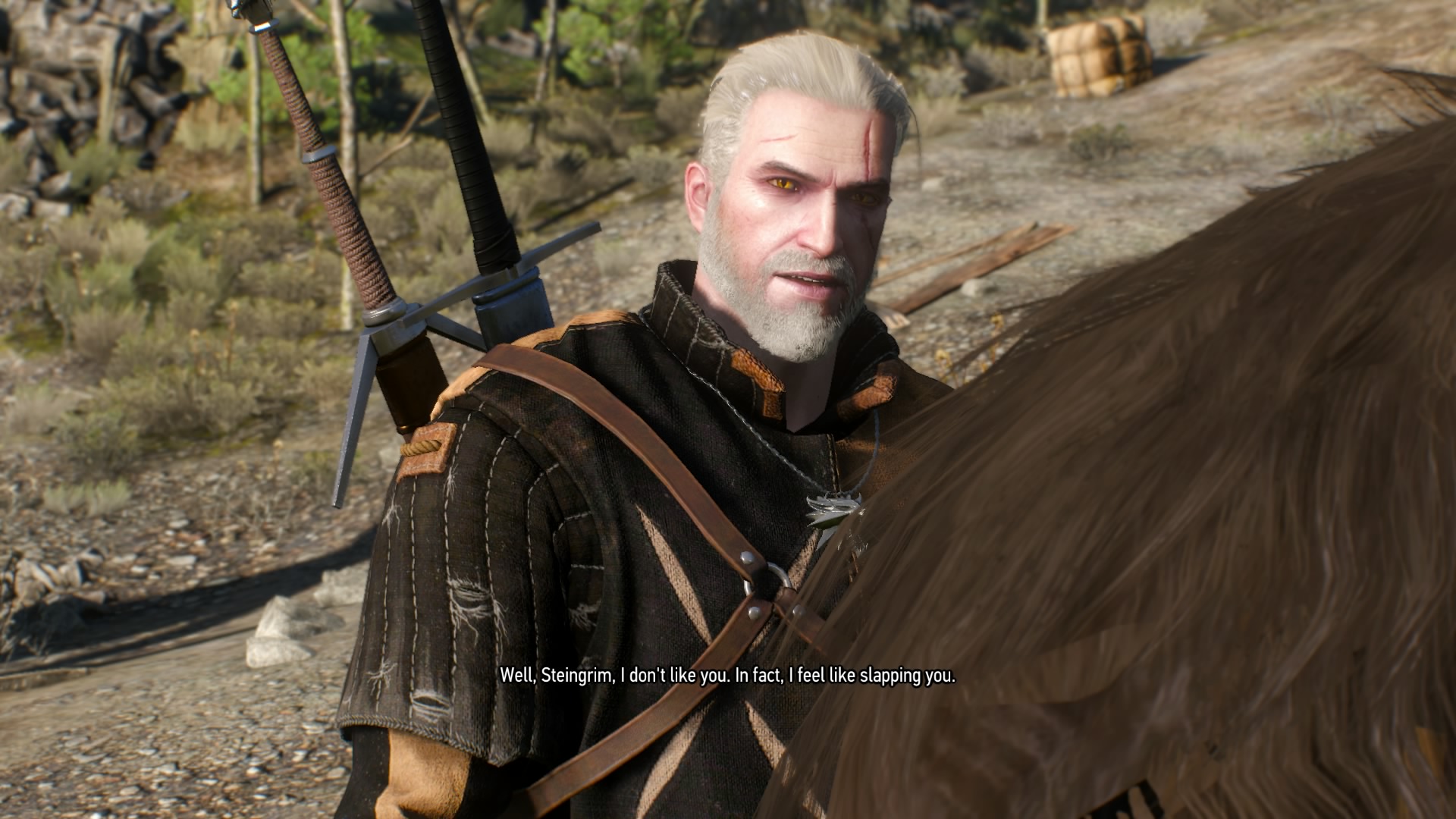 Ard Skellig.jpg