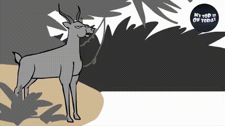 arGMMW7_460svvp9-1.gif