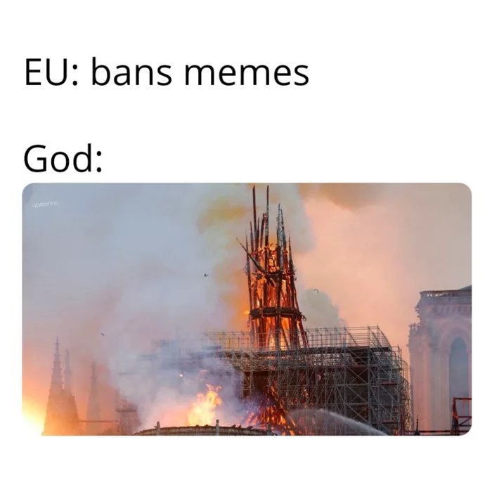 Article-13.jpg