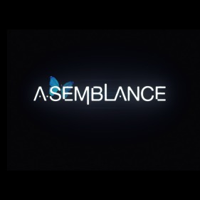 asemblace.jpeg