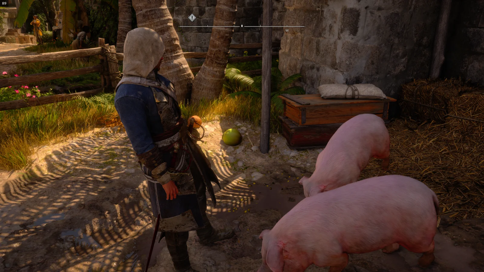Assassin's Creed Black Flag Resynced 09.07.2026 22_47_15.webp