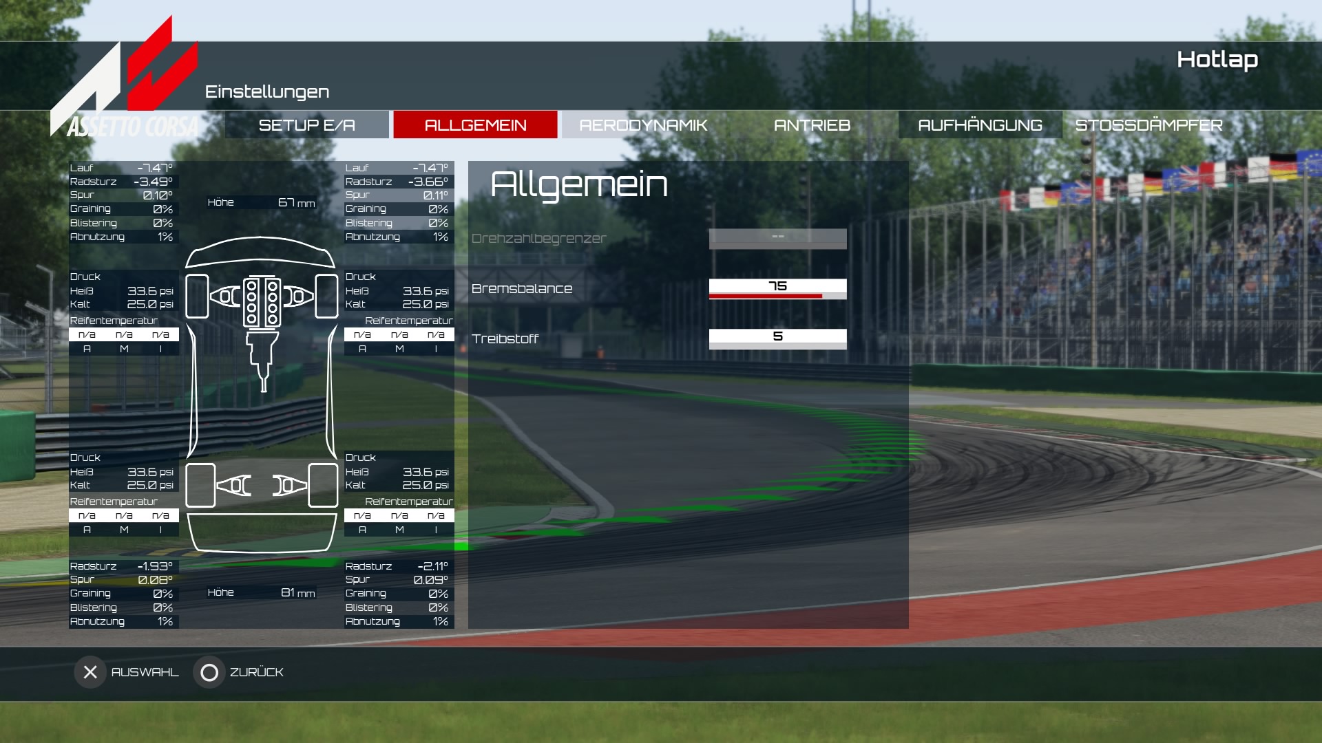 Assetto Corsa_2.jpg