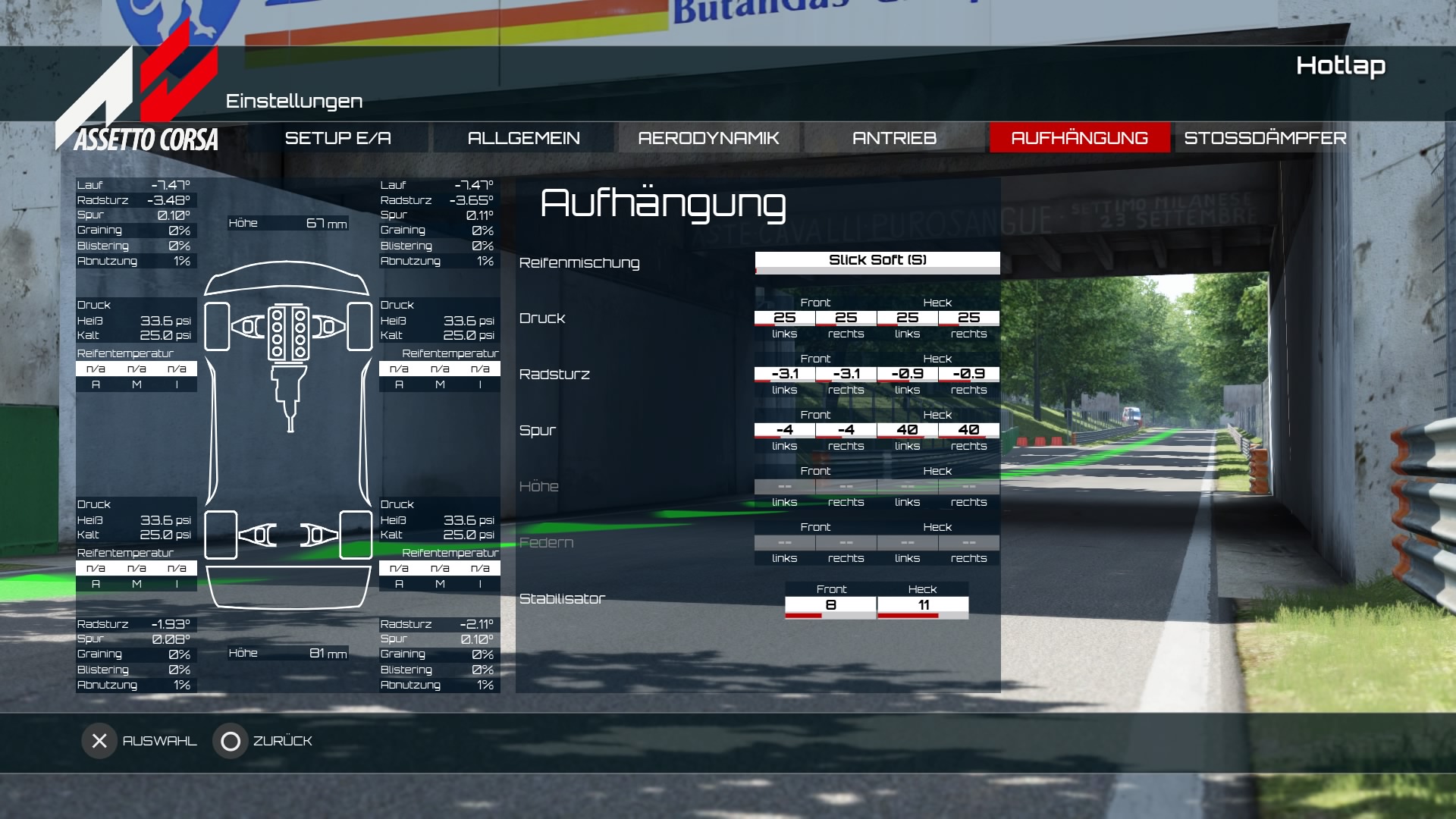 Assetto Corsa_3.jpg