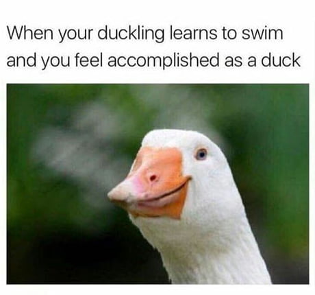av7vE2M_460s_v1.jpg