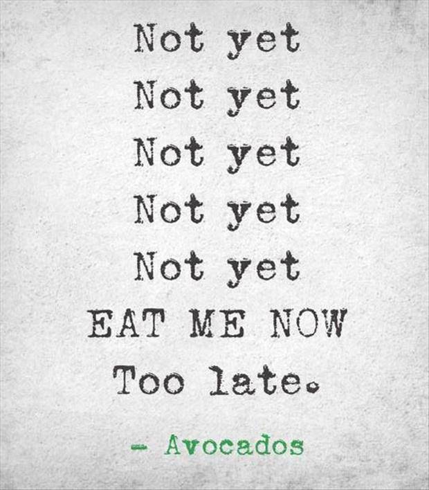 avocados.jpg