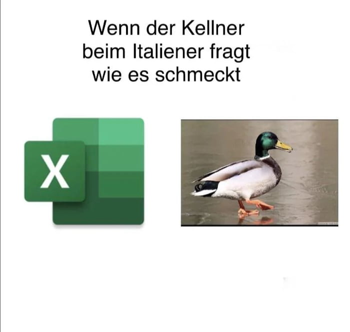 azenWzq_700b.jpg