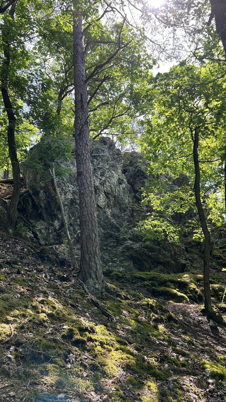 B0777F93-D393-46A6-B746-F7C244812515.jpeg