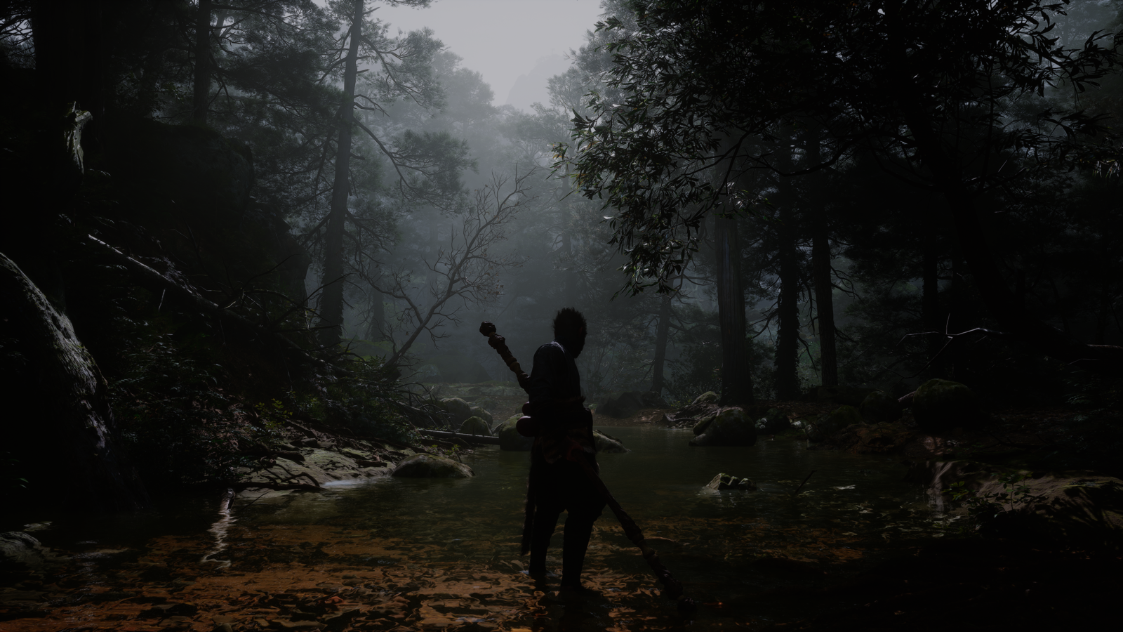 b1   20.08.2024 19_08_27.png