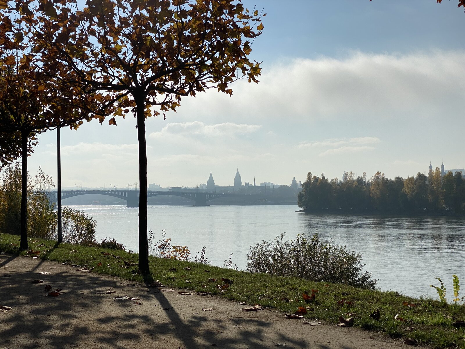 B14C75A8-B250-42F6-9D7D-FAA2268A52C5.jpeg