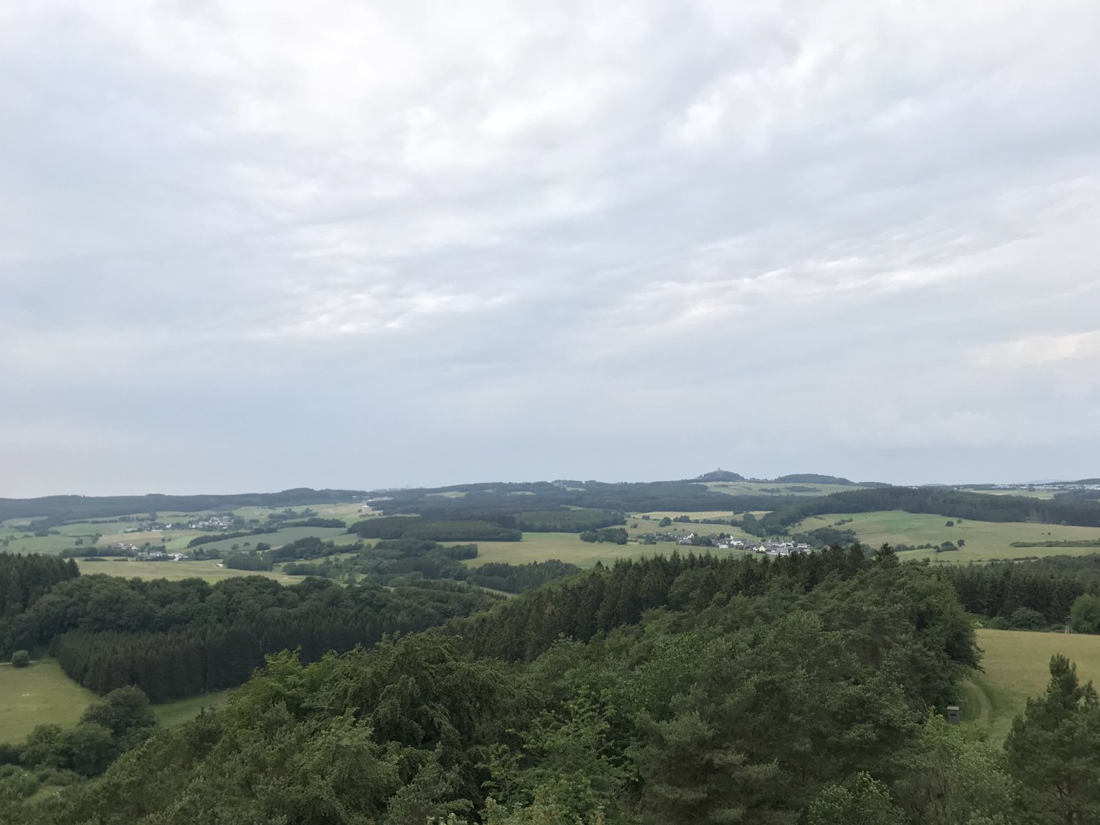 B468EFEA-80D2-43E3-86E4-A504A3F98C0C.jpeg