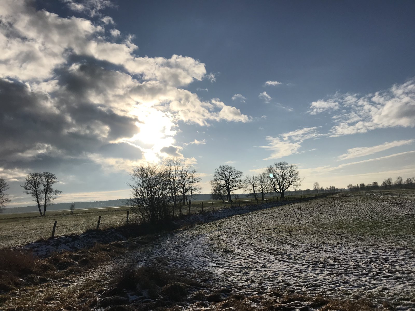 B9E25A6D-EC66-459E-B885-72FD3299EA62.jpeg