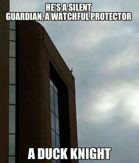 batman.jpg