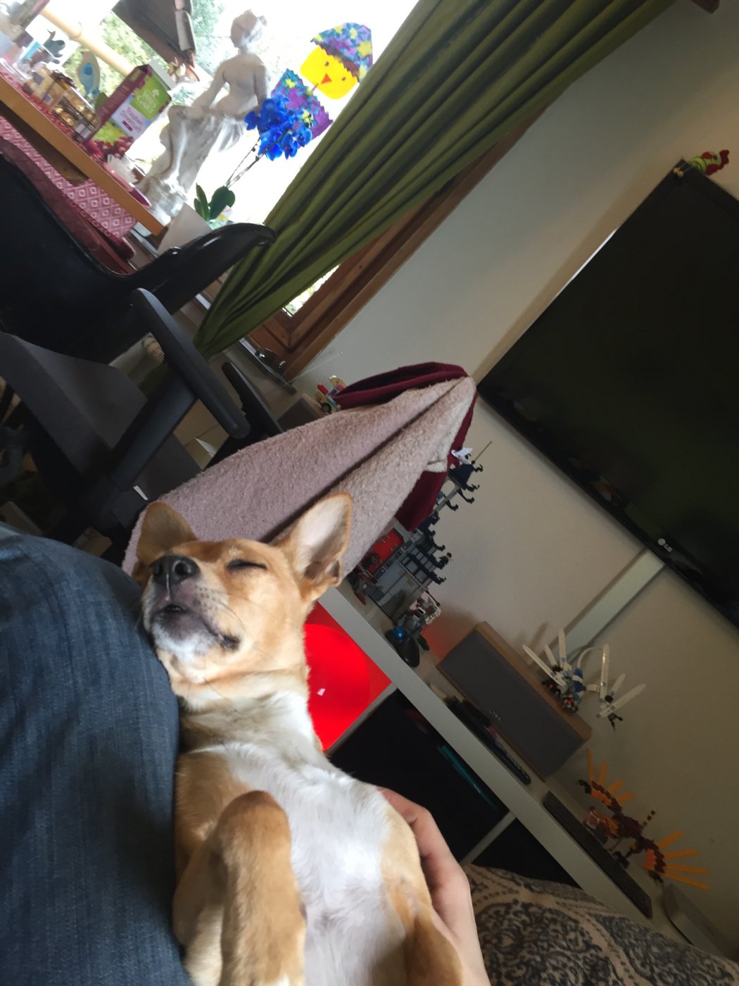 BCFBCC18-514D-4BDD-84E1-8F11A48E3556.jpeg