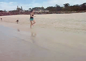 beach.gif