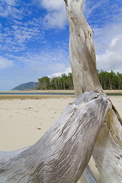 beach_.jpg