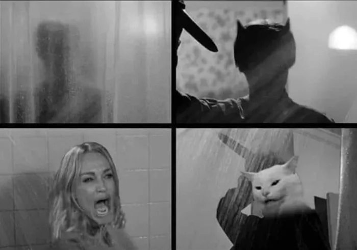 Best-cat-meme-yet.jpg