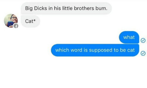 big-dicks-in-his-little-brothers-bum-cat-what-which-25889825.png