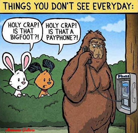 bigfoot payphone.jpg