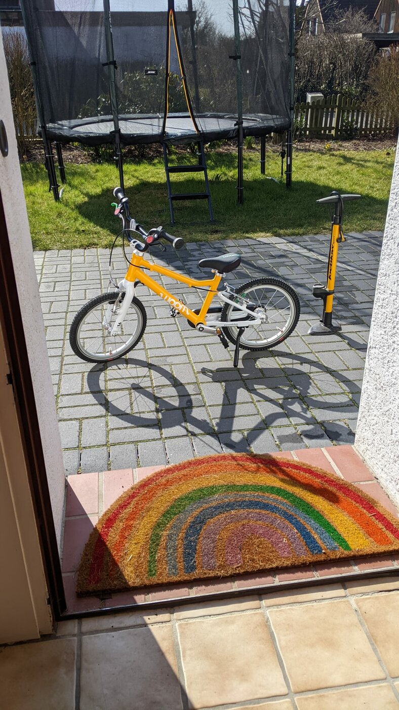 bike.jpeg
