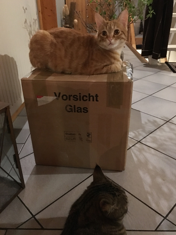 Bild 1.jpg