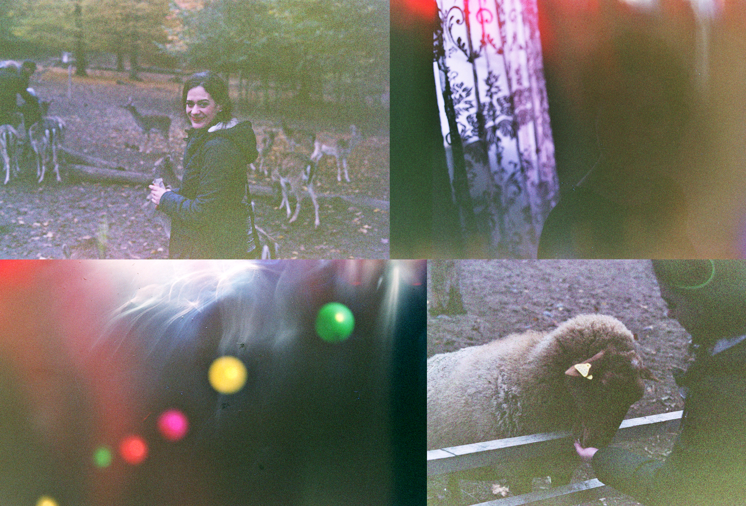 Bild018_Neg.Nr.N18 be collage2.jpg
