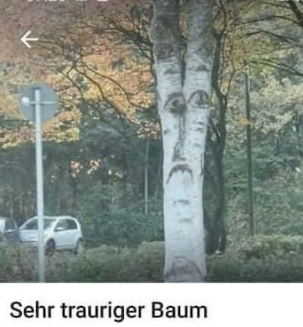 Bildschirmfoto 2019-10-17 um 17.12.31.png
