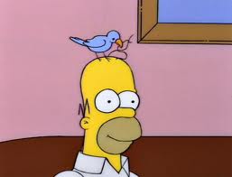 Bird_grooming_homer.jpg